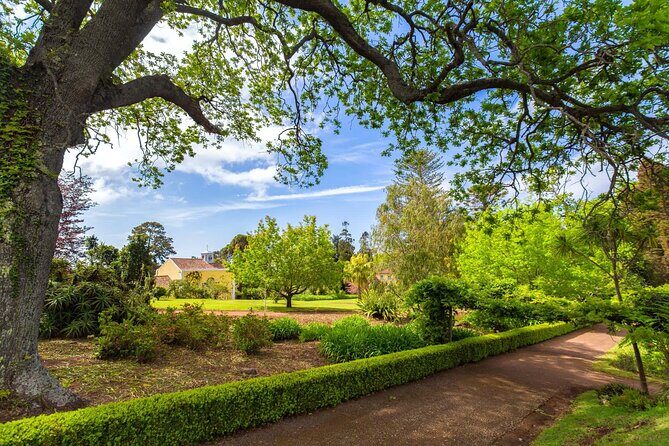 Funchal Old Town & Palheiro Gardens Private Tuk Tuk Tour - Should you book the Funchal Old Town & Palheiro Gardens Private Tuk Tuk Tour?