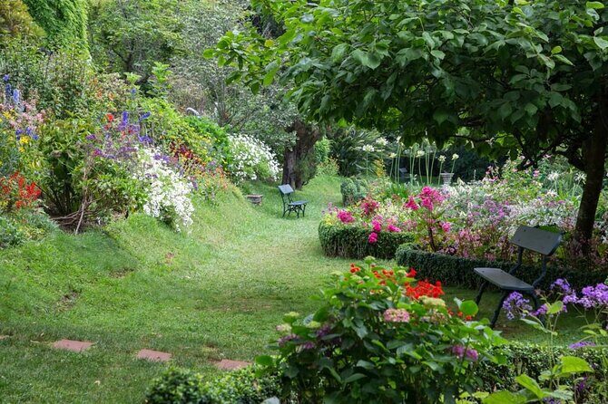 Funchal Old Town & Palheiro Gardens Private Tuk Tuk Tour - Quinta do Palheiro Gardens: 200-Year Trees and a Real-Time Walk