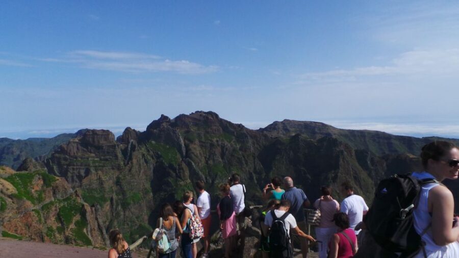 Funchal: Pico Arieiro, Cristo Rei and Dolphins Watching - A day that strings together mountain roads and open water