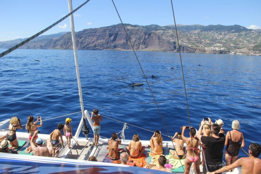 Funchal: Pico Arieiro, Cristo Rei and Dolphins Watching - Santa Cruz farmer terraces and Cristo Rei’s viewpoint story