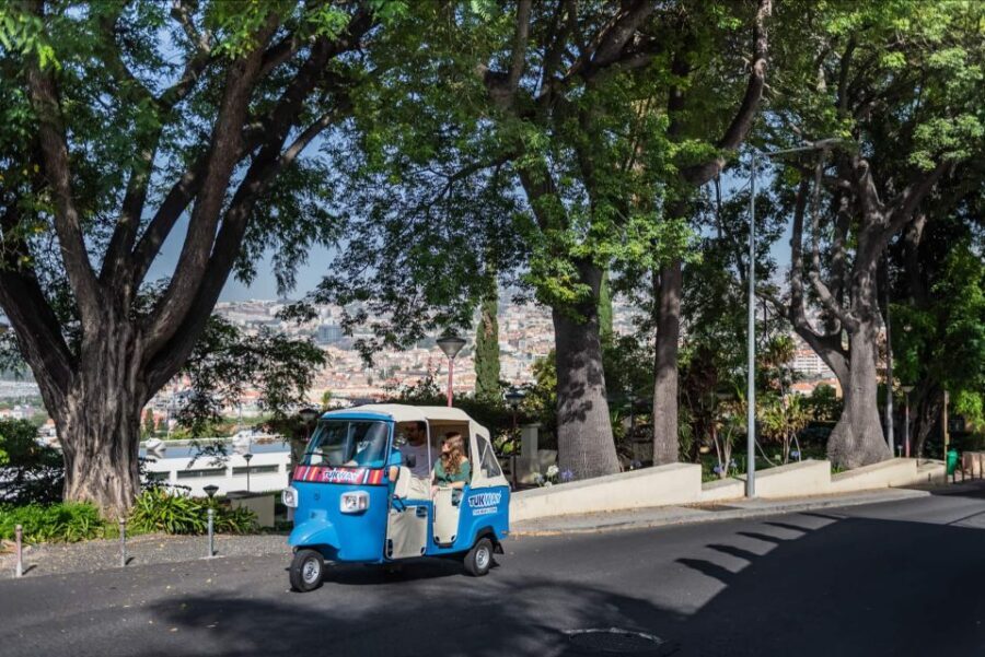 Funchal: Private Customizable Guided Tour by Tuk-Tuk - Monte’s Toboggans and the Gardens That Make the Story Work