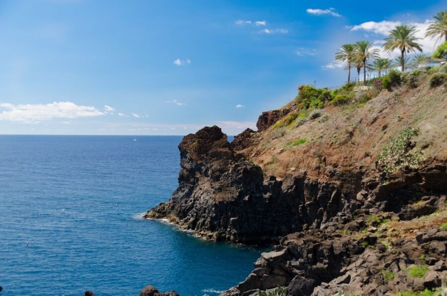 Funchal: Private Tour with a Local Guide - Why a private guide in Funchal beats wandering alone