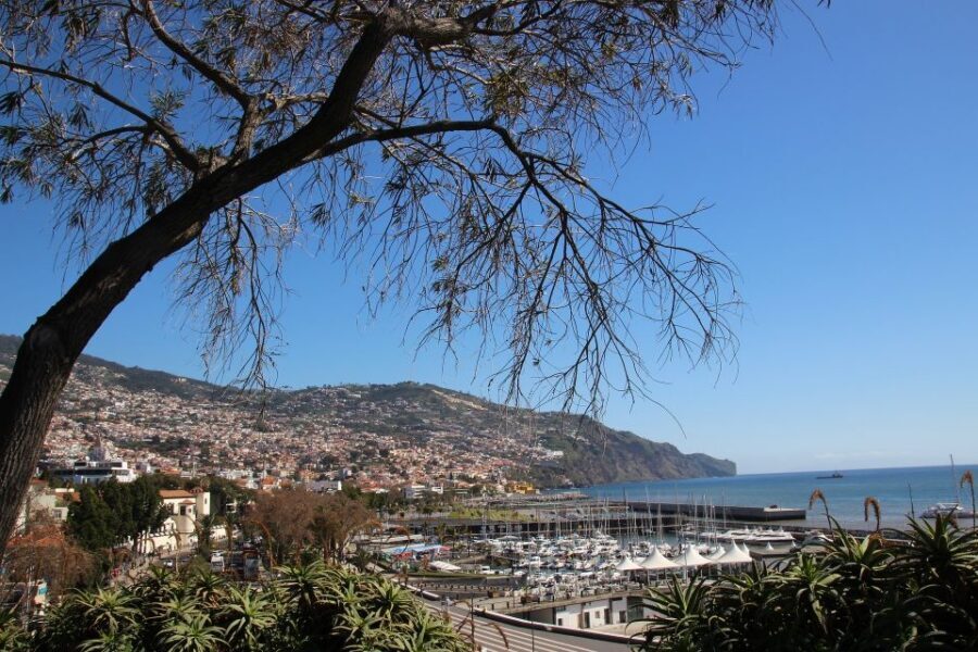 Funchal: Private Tour with a Local Guide - Meeting your guide at your hotel or Airbnb lobby