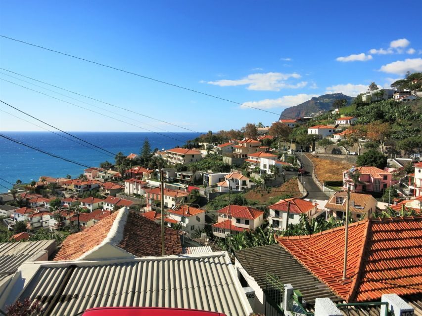 Funchal: Private Tour with a Local Guide - Getting practical local advice on food, groceries, and transport