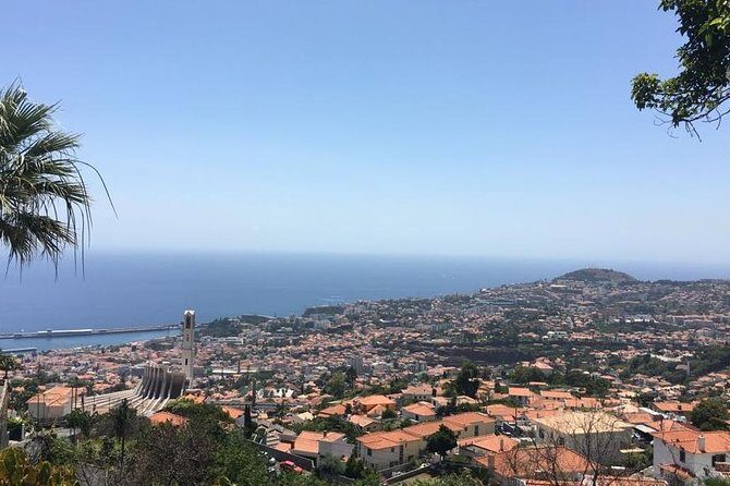Funchal Private Transfers Service to Madeira Airport - Why a Private Funchal-to-Madeira Airport Transfer Works So Well