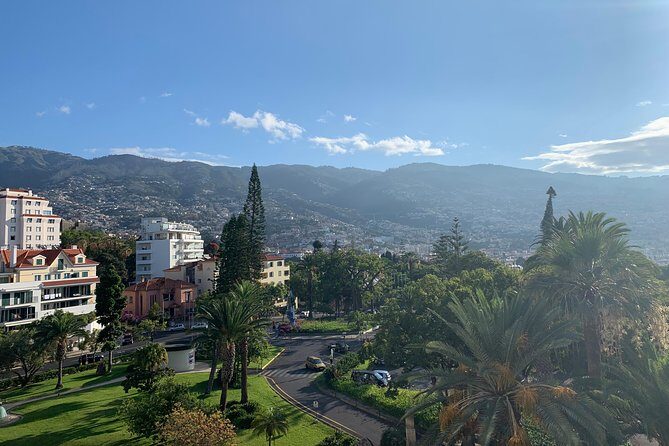 Funchal Private Transfers Service to Madeira Airport - Timing for Flights: How This Service Handles Early Departures