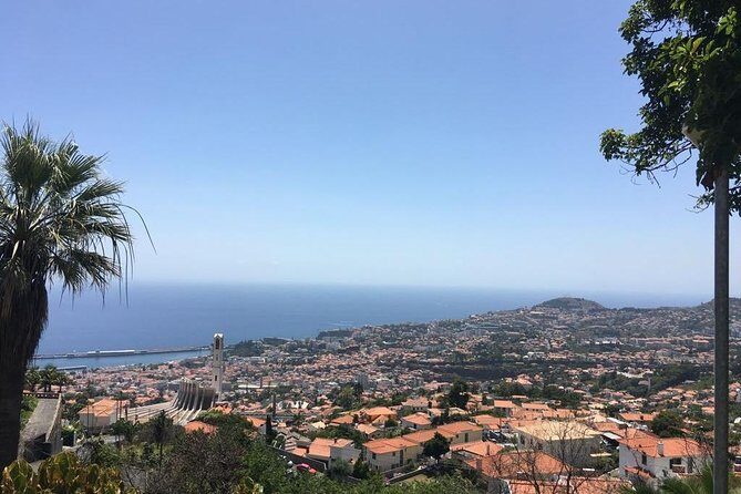 Funchal Private Vehicle Service with Driver for a Half Day or Full Day - Pickup Points: Cruise Terminal, Hotel Lobby, and Airbnb Doors
