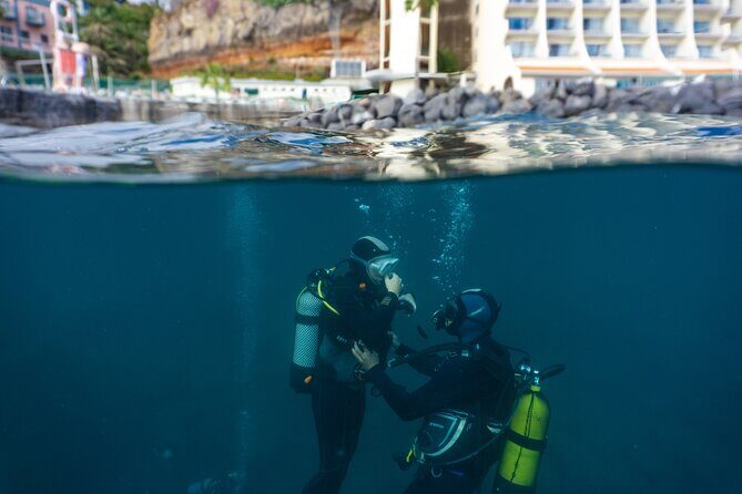 Funchal: Scuba Diving Experience for Beginners - Value for Money: What $54.31 Actually Buys You