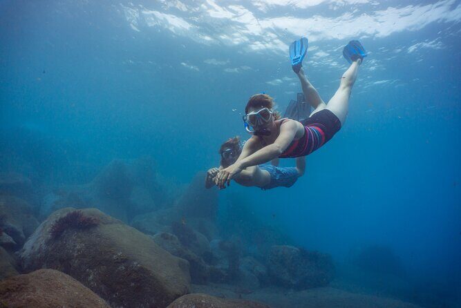 Funchal: Snorkeling Adventure in Eco-Park / Shore or by Boat - Key Things I’d Plan For