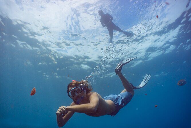Funchal: Snorkeling Adventure in Eco-Park / Shore or by Boat - Getting Down to Sea Level at the Pestana Carlton