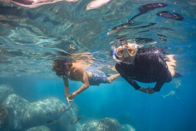 Funchal: Snorkeling Adventure in Eco-Park / Shore or by Boat - Two Ways to Snorkel: House-Reef From Shore or Protected Reserve by Boat