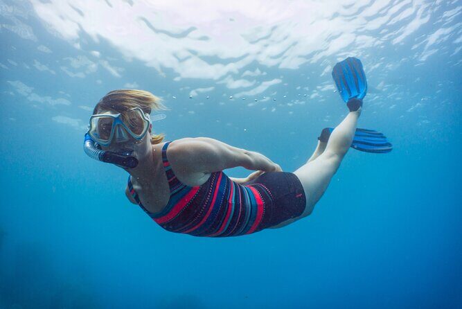 Funchal: Snorkeling Adventure in Eco-Park / Shore or by Boat - Getting Better Snorkel Viewing Without Overthinking It