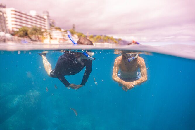 Funchal: Snorkeling Adventure in Eco-Park / Shore or by Boat - Comfort Matters: Warm Water, Optional Wetsuit, and Cold Months