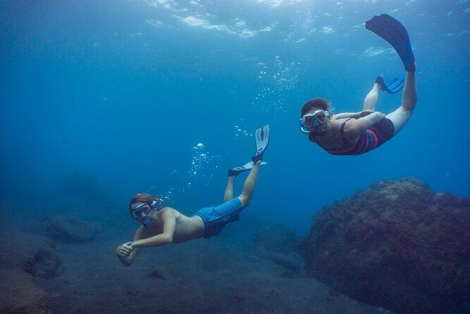 Funchal: Snorkeling Adventure in Eco-Park / Shore or by Boat - Who This Snorkeling Trip Suits Best