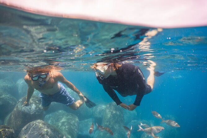 Funchal: Snorkeling Adventure in Eco-Park / Shore or by Boat - Gear, Wetsuits, and Staying Comfortable in Madeira Water