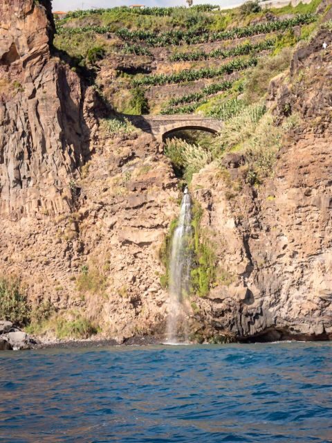 Funchal: Speedboat SEE THE ISLAND AND LIFE AT SEA - Who This Tour Fits Best (and Who Should Rethink)