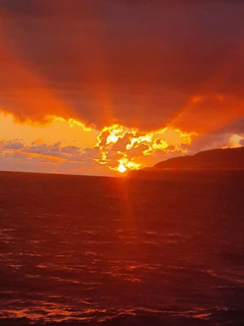 Funchal: Speedboat SEE THE ISLAND AND LIFE AT SEA - Speedboat Energy Off Madeira’s Coast: What the 2.5 Hours Feels Like
