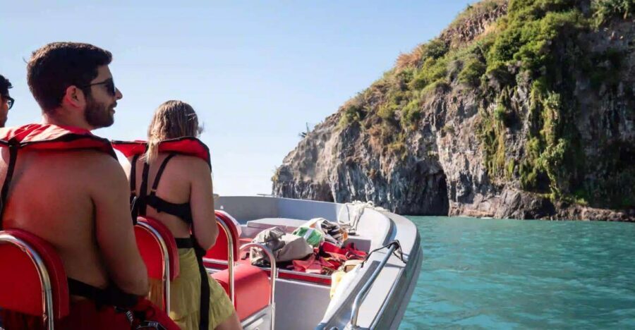 Funchal: Speedboat SEE THE ISLAND AND LIFE AT SEA - Coastline Views at Speed: What You’ll Actually See from the Boat