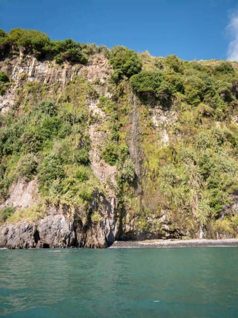 Funchal: Speedboat SEE THE ISLAND AND LIFE AT SEA - The Mid-Tour Plunge: Your Chance to Go From Watching to Doing