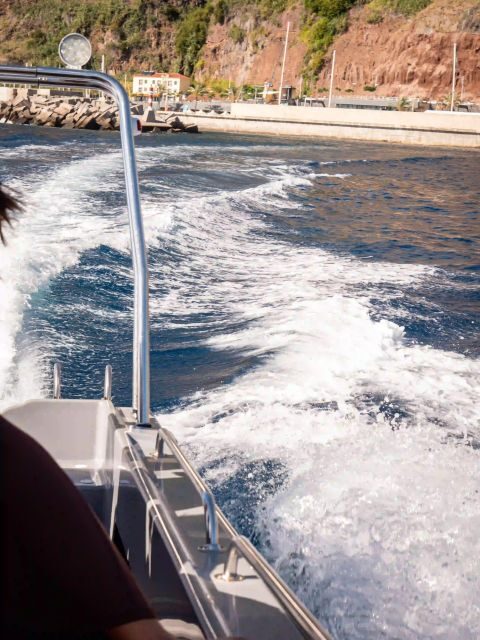 Funchal: Speedboat SEE THE ISLAND AND LIFE AT SEA - Price and Value: Is $41 for 2.5 Hours a Fair Trade?