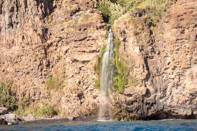 Funchal: Speedboat tour- SEE THE ISLAND AND LIFE AT SEA - Eco-Friendly by Design: Why the “Marine Life” Focus Helps You