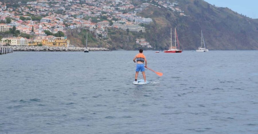 Funchal: Standup Paddle - Marina Nova do Funchal Meet-Up: Where Your Paddle Day Begins