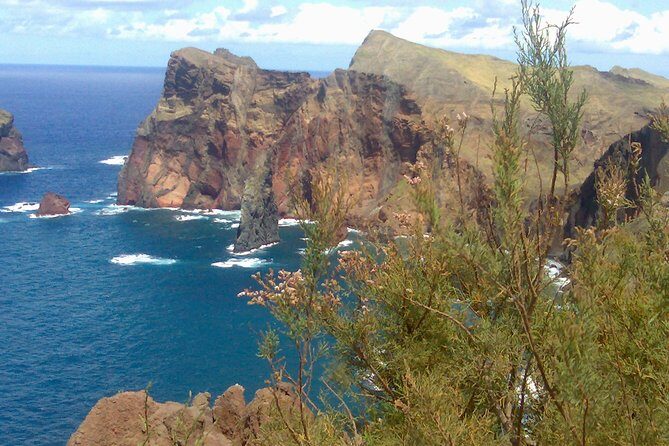 Funchal : Sunday Market - South East Tour - Garajau viewpoint: Christ the King and seabird trivia