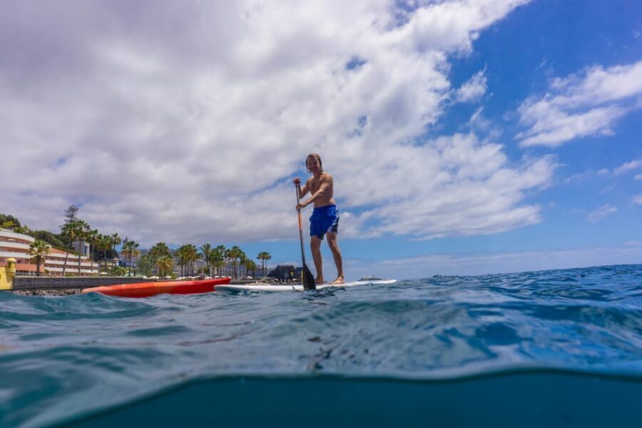Funchal: SUP Rental or Guided tour with snorkeling - Why this SUP-and-snorkel session in Funchal feels so practical