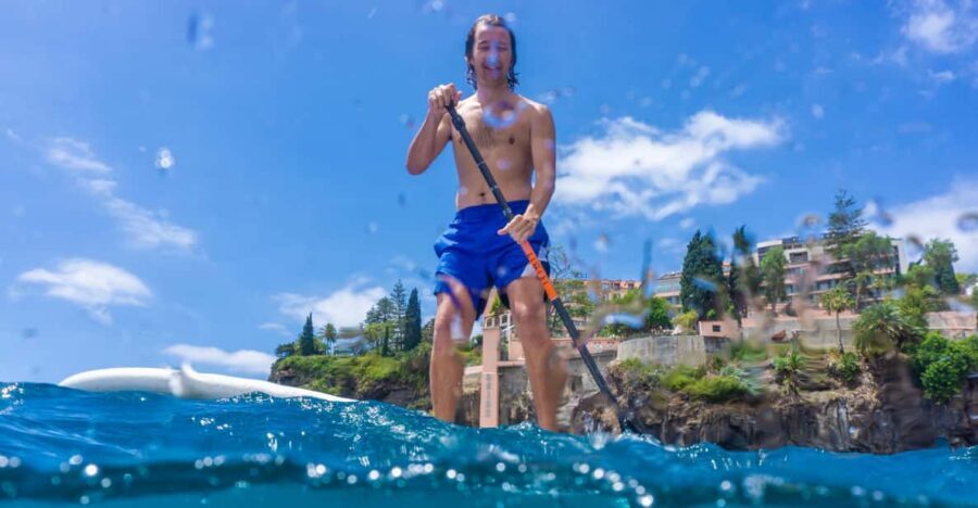 Funchal: SUP Rental or Guided tour with snorkeling - Gear-up rules: wetsuits, lifejackets, and what “mandatory” means