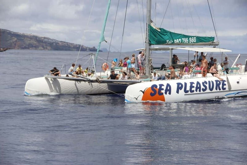 Funchal:Hop-on Hop-off Bus & Whale & Dolphin boat Excursion - Key things to know before you go