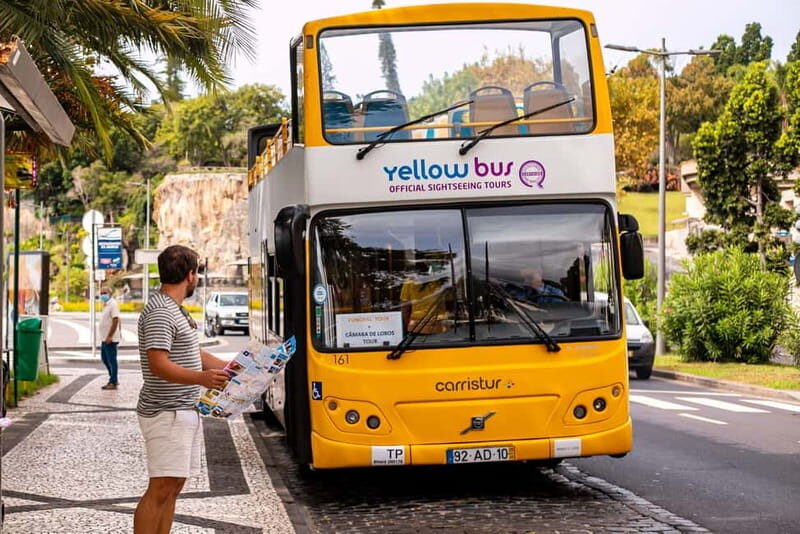 Funchal:Hop-on Hop-off Bus & Whale & Dolphin boat Excursion - Old Town, Cable Car Area, and the Market Zone: Start Here If You Want Character