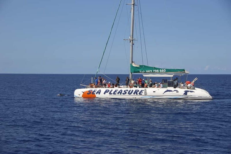 Funchal:Hop-on Hop-off Bus & Whale & Dolphin boat Excursion - Cathedral, Promenades, and Viewpoints: Where the Bus Makes Photography Easy