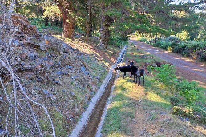 Gastro hike (Private Tour) - Should You Book This Gastro Hike with Claudio?