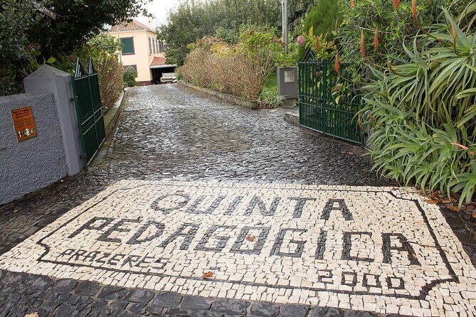 Go South Tour - Madeira Island Excursion - Pickup in Funchal: where the tour starts and why it matters