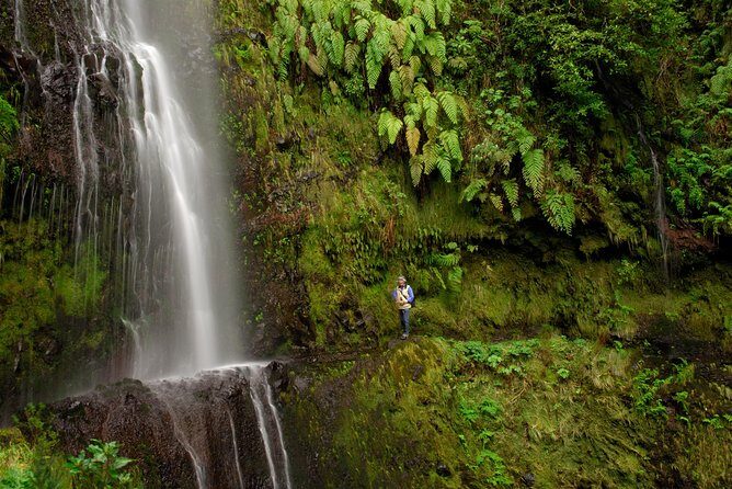 Green Cauldron - Stop 2: Caldeirão Verde (Green Cauldron) and the picnic moment