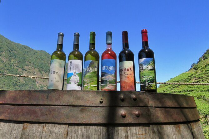 Guided 4x4 Adventure and Skywalk with Wine and Tapas in Madeira - Key highlights worth knowing
