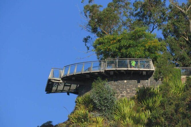 Guided 4x4 Adventure and Skywalk with Wine and Tapas in Madeira - Guides make the day: what to look for on your departure