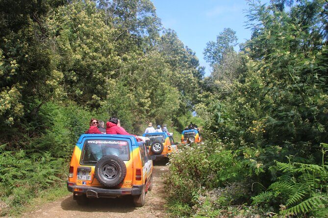 Guided Exploration of Southwest Madeira in a 4x4 - 8:30 pickup in Funchal and Caniço: what you need to know
