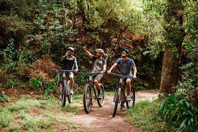 Guided Tour Electric Mountain Bike Experience - Key highlights you’ll feel immediately