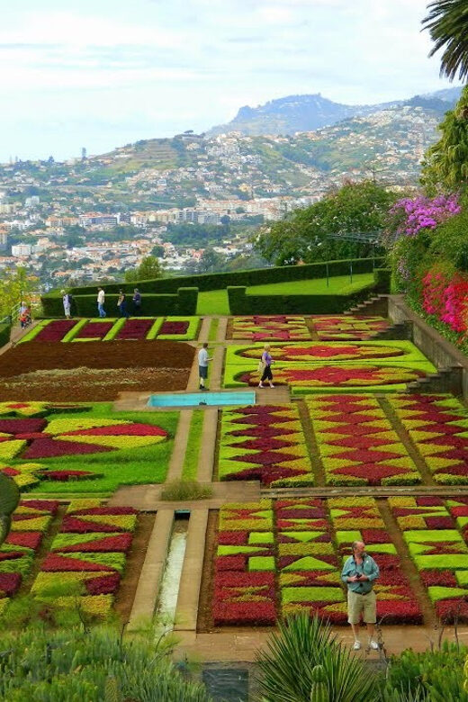 Guided Tuk-Tuk Tour to Botanical Garden (From Funchal) - Key Things You’ll Remember About This Tuk-Tuk + Botanical Garden Tour