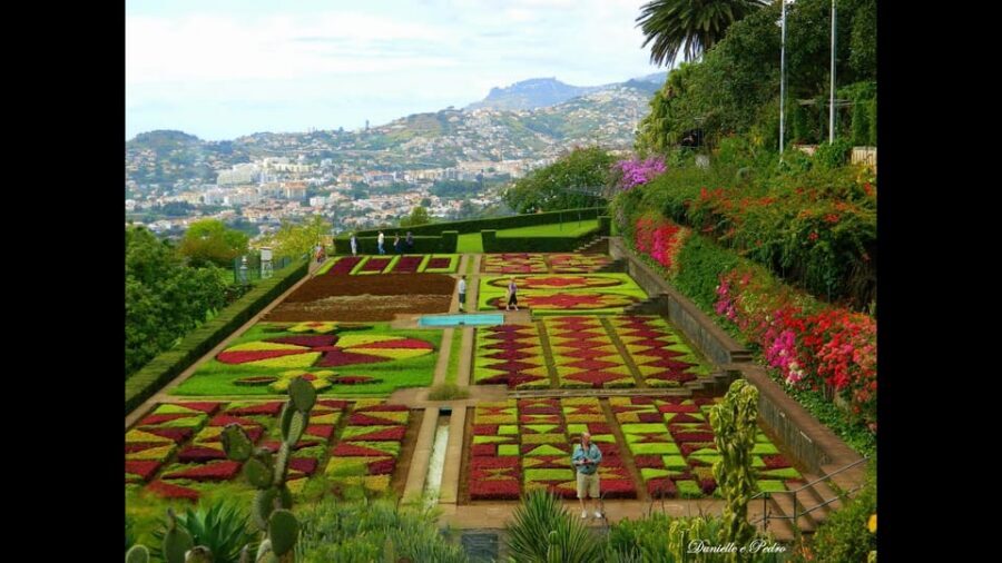 Guided Tuk-Tuk Tour to Botanical Garden (From Funchal) - The 1-Hour Tuk-Tuk Ride: What the Timing Really Means