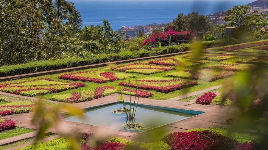 Guided Tuk-Tuk Tour to Botanical Garden (From Funchal) - Entering Quinta do Bom Sucesso: 1881 and Why It Matters