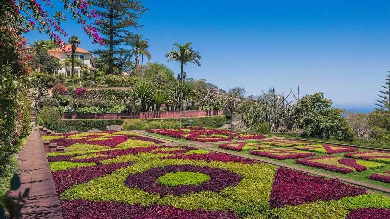 Guided Tuk-Tuk Tour to Botanical Garden (From Funchal) - Funchal Pickup and the Private-Tour Advantage