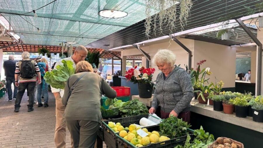Half-Day Country Market Tour on Madeira Island - Key highlights to look forward to
