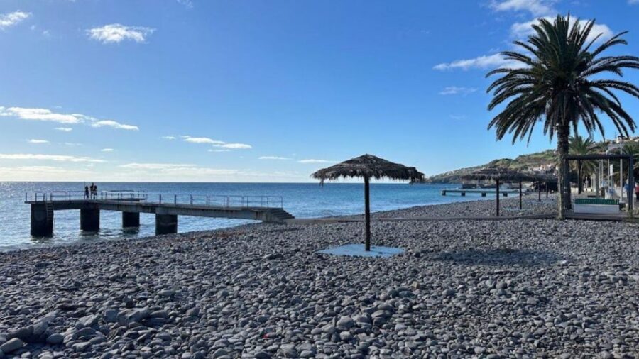 Half-Day Country Market Tour on Madeira Island - Price and value: is $29 worth it?