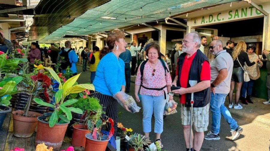 Half-Day Country Market Tour on Madeira Island - Timing, pacing, and what you’ll do in each stretch