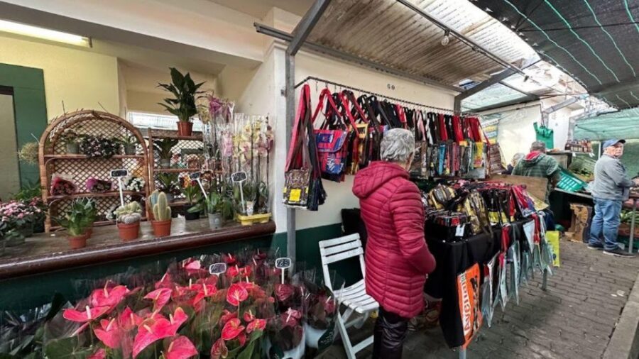 Half-Day Country Market Tour on Madeira Island - Weather and what to do when the day changes