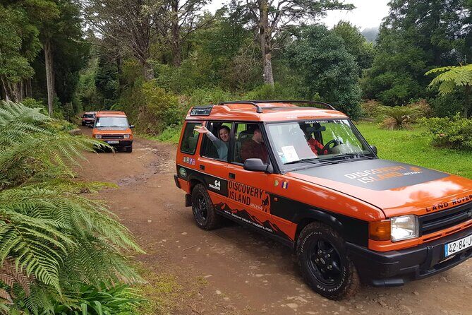 Half Day Jeep Safari Tour at Pico Areeiro and Santo da Serra - Price and value: what you get for about $54