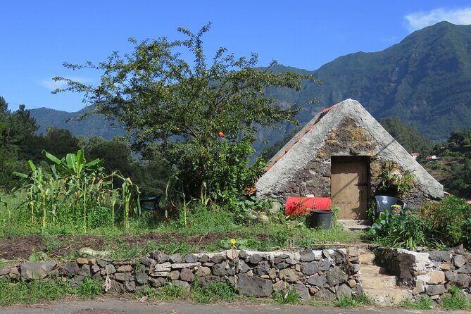 Half day jeep Wine tour and tasting, & sea cliff adventure - Jeep ride reality check: fun, bumpy, and photo-friendly if you’re ready