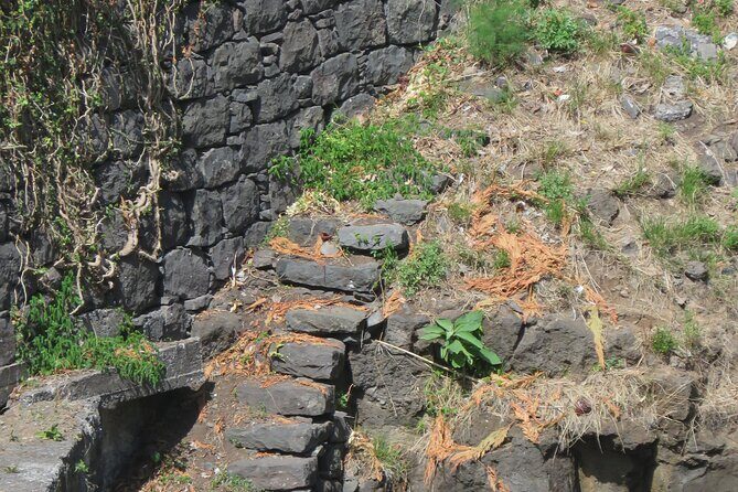 Half day jeep Wine tour and tasting, & sea cliff adventure - Price and value: figuring out your true total in Madeira